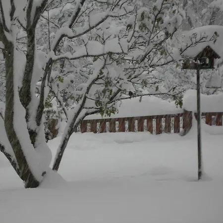 Untersteinhof Forstau (Salzburg)