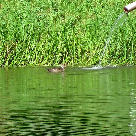 Apartmán Untersteinhof *