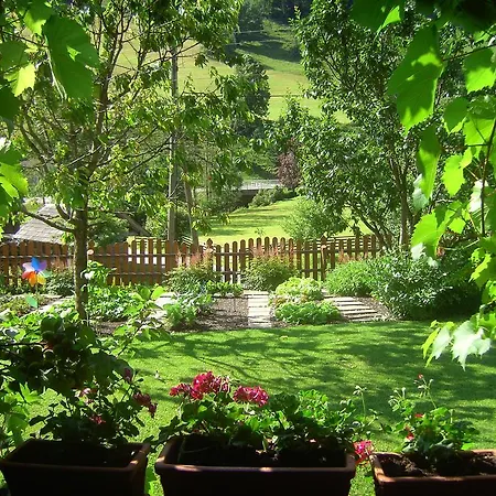 Untersteinhof Apartamento Forstau (Salzburg)