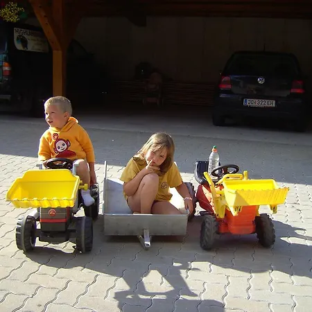 Untersteinhof Forstau (Salzburg)