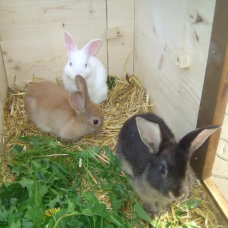 Untersteinhof Apartmán Forstau (Salzburg)